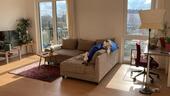 Foto - Bis 08.12.2025 2Zimmerwohnung - 1.200,00 EUR Kaltmiete,