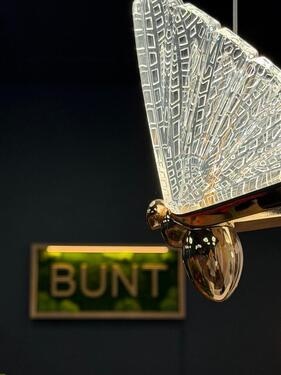 Foto - andere in Achim