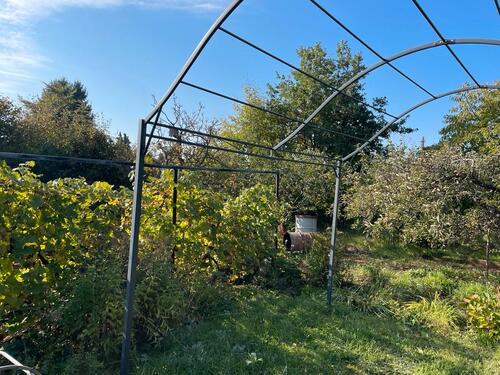 Foto - Grundstück in Coswig