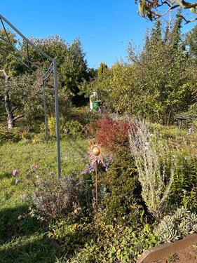 Foto - Grundstück in Coswig zur Miete