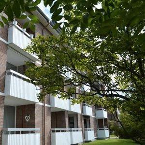 Foto - Traumhafte Ferienwohnung in Büsum ab 45 € tgl.