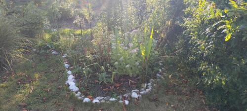 Foto - Grundst&uuml;ck in Bad Doberan zur Miete