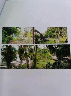 Foto - 