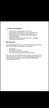 Foto - 12 Zimmer Einfamilienhaus in Kitzscher