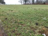 Foto - Grünland 0,9 ha zur Nutzung - 434,00&nbsp;EUR Kaltmiete, ca.&nbsp; 0,00&nbsp;m&sup2;