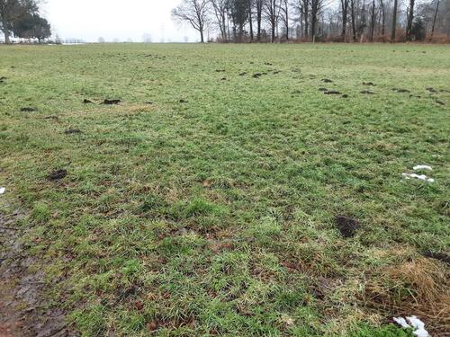 Foto - Grünland 0,9 ha zur Nutzung - 434,00&nbsp;EUR Kaltmiete, ca.&nbsp; 0,00&nbsp;m&sup2;