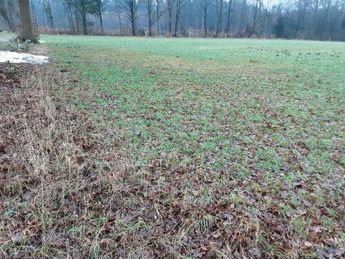 Foto - Grundst&uuml;ck zur Miete in Visselhövede