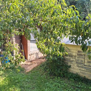 Foto - Grundstück zur Miete in Idstein