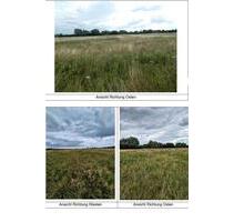 3.984 m² Grünland Wiese in Sülfeld-Fallersleben - Wolfsburg