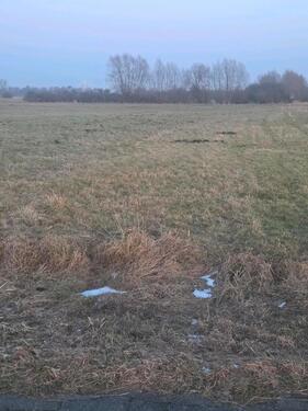 Foto - Grundst&uuml;ck zur Miete in Wolfsburg