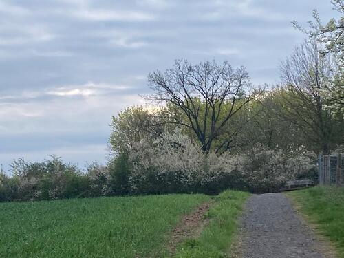 Foto - Praxisräume für Coaching, therapeutische Arbeit