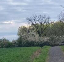 Praxisräume für Coaching, therapeutische Arbeit - Vellmar