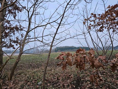 Foto - Grundst&uuml;ck in Lamstedt zur Miete