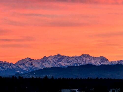 Foto - 3 Zimmer Etagenwohnung zur Miete in Eriskirch