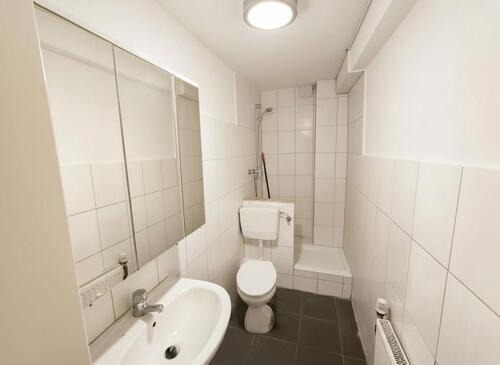 Foto - 1 Zimmer Etagenwohnung zur Miete in Friedberg (Hessen)