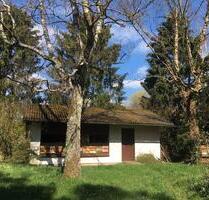 Bienenhaus Bienenstand in bester Lage zur Pacht - Imker Natur - Peterswald-Löffelscheid