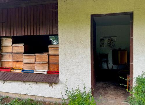 Foto - Grundstück zur Miete in Peterswald-Löffelscheid