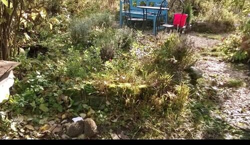 Foto - Grundstück zur Miete in Zweibrücken