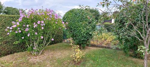 Foto - Grundst&uuml;ck zur Miete in Dippoldiswalde