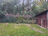 Foto - Einfamilienhaus in Friesack zum Kaufen