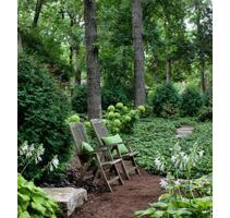 Freizeitgrundstück direkt in Pirmasens nähe Solarpark