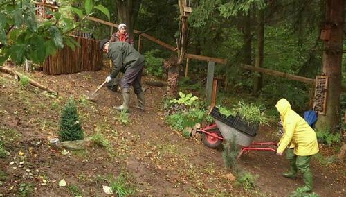 Foto - Grundstück in Pirmasens