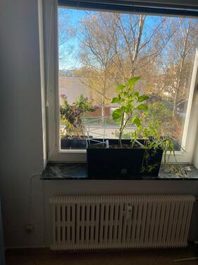 Foto - Wunderschöne möblierte 2,5 Zimmer Wohnung im Buckow,12349 Berlin