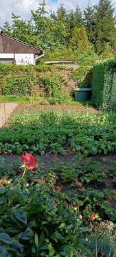 Foto - Grundst&uuml;ck zur Miete in Grimma