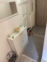Foto - Dachgeschoßwohnung in Bad Pyrmont zur Miete