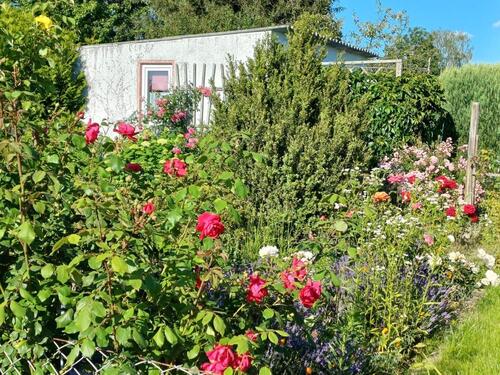 Foto - Kleingartenparzelle - 250,00&nbsp;EUR Kaltmiete, ca.&nbsp; 0,00&nbsp;m&sup2;