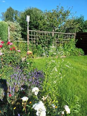 Foto - Grundst&uuml;ck zur Miete in Döbeln