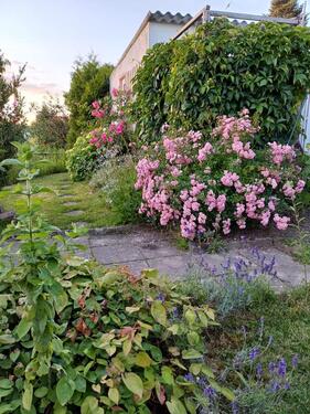 Foto - Grundst&uuml;ck in Döbeln