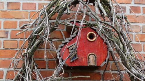 Foto - Ferienwohnung Auszeit 5 Personen Schleswig-Holstein