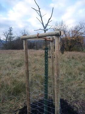 Foto - Grundst&uuml;ck in Bad Sooden-Allendorf