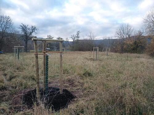 Foto - Grundst&uuml;ck in Bad Sooden-Allendorf zur Miete