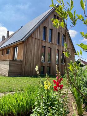 Foto - Praxisräume, Psycho-, Physiotherapie, Hebamme