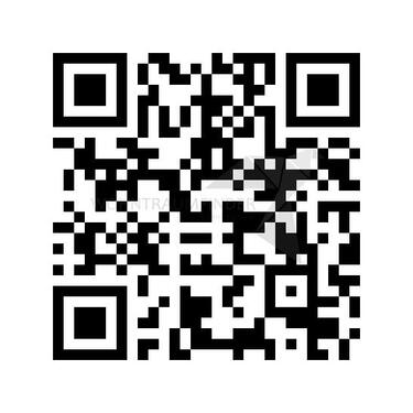 Foto - 1 Zimmer Erdgeschoßwohnung zur Miete in Zwickau