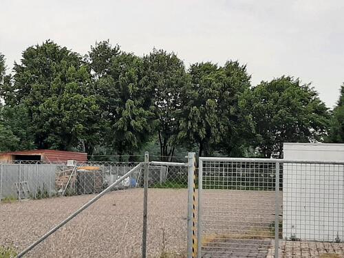 Foto - andere in Weißenhorn zur Miete