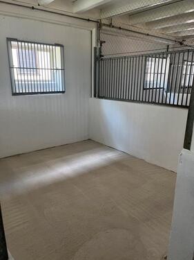 Foto - andere in Westhausen