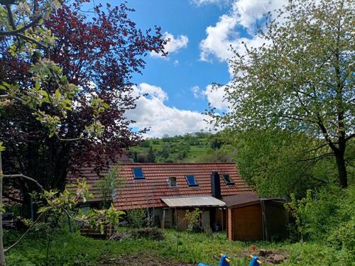 Foto - Haus mit Garten in Ulrichstein (Ortsteil) – mit viel Potenzial