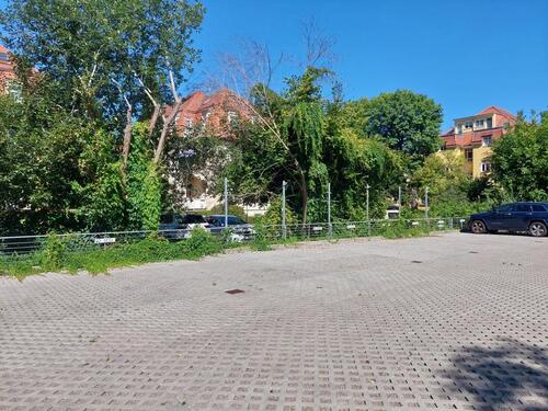 Foto - andere in Dresden