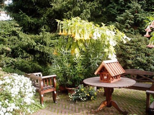 Foto - 4 Zimmer Hochparterre zum Kaufen in Düsseldorf