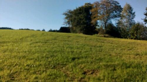 Foto - 