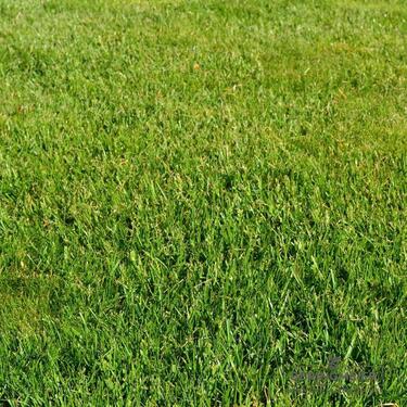 Foto - 24.000 m2 Wiesenfläche mit Zukunftspotenzial in Vollbüttel