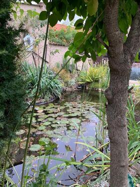 Foto - 5 Zimmer Einfamilienhaus in Ballenstedt