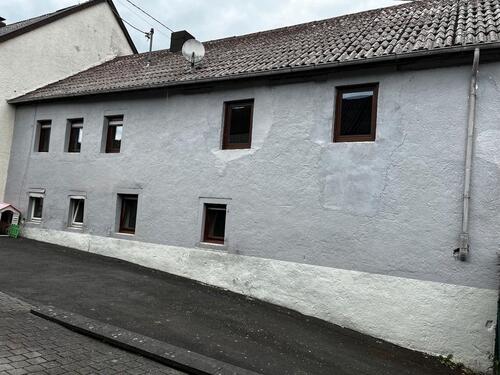 Foto - Einfamilienhaus zum Kaufen in Birresborn