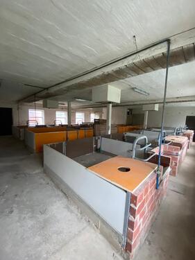 Foto - andere in Sibbesse