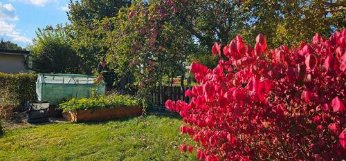 Foto - Grundst&uuml;ck in Chemnitz