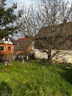 Foto - 2 Zimmer Einfamilienhaus zum Kaufen in Neustadt an der Orla