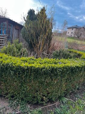 Foto - Einfamilienhaus in Neustadt an der Orla zum Kaufen